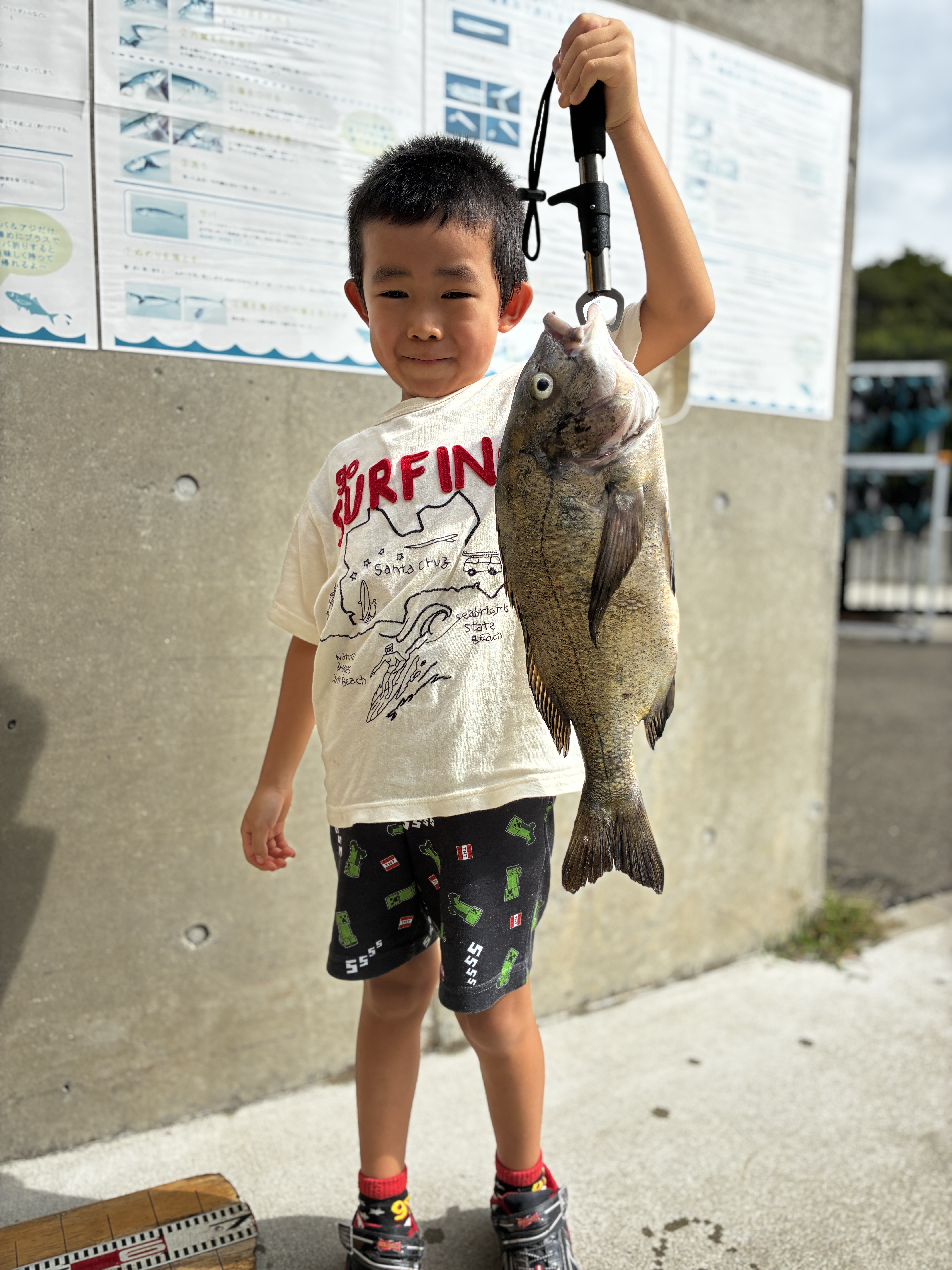 釣果情報 – 鳴尾浜臨海公園